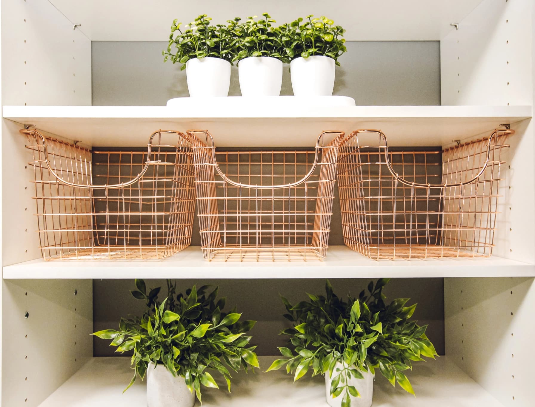 Closet Oasis Inc. Gallery Image 6
